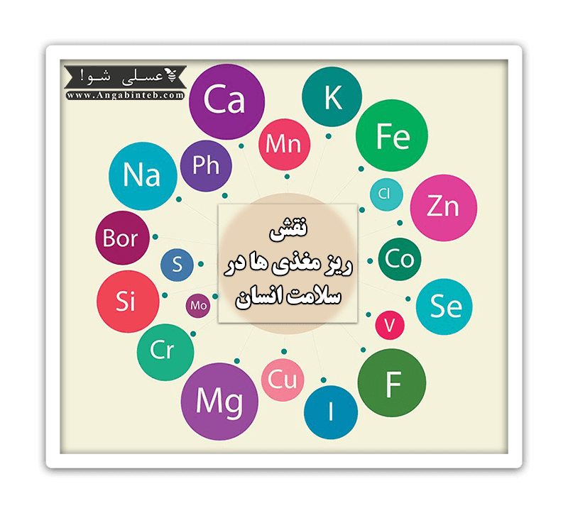 Micronutrients-Title-min