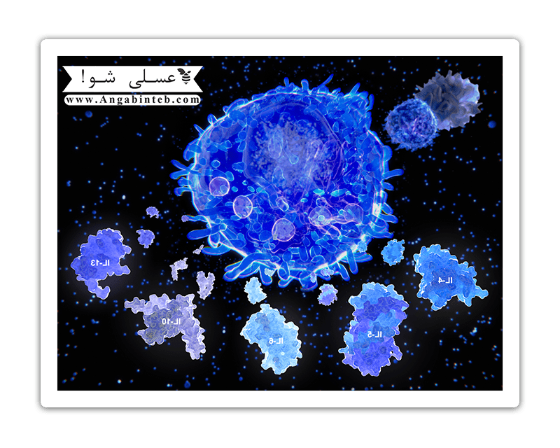 Fast&Immunity-Cytokine-min.png