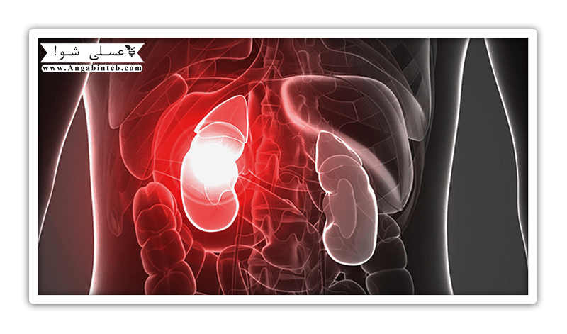 VitaminB6-Kidney-min