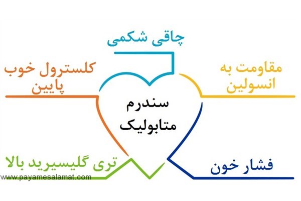 زرشک باعث کاهش پروتئین ضد شوک حرارتی27 وتیتر آنتی بادی پروتئین واکنشیC  بیماران مبتلا به سندرم متابولیک