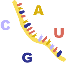 اگزوزومها در حال گردش و میکرو RNA های اگزوزومی به عنوان نشانگرهای زیستی در سرطان دستگاه گوارش