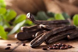 تأثیر عصاره میوه Carob  بر اسپرماتوژنز ، وضعیت آنتی اکسیدانی و آپوپتوز در موشهای نر بالغ