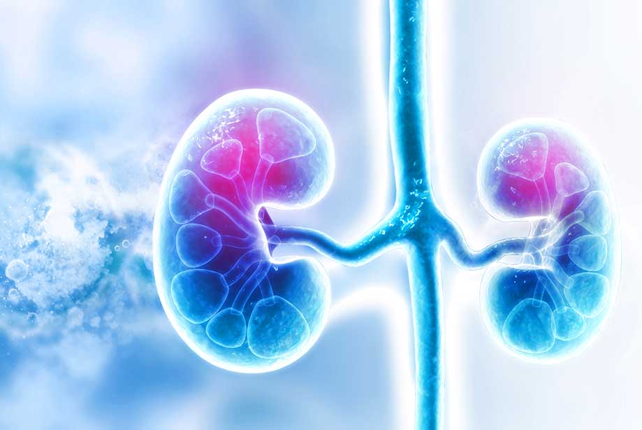 Acute kidney injury