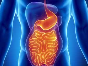 Nutrition in gastrointestinal diseases