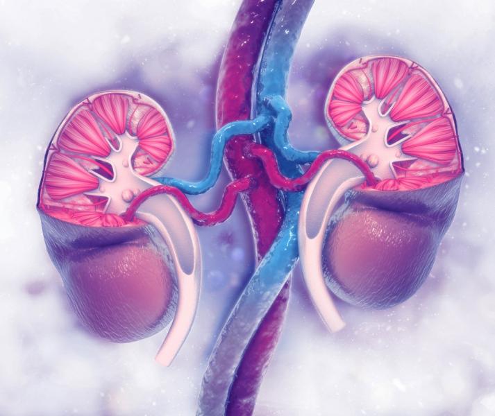 Nutrition in Kidney Diseases